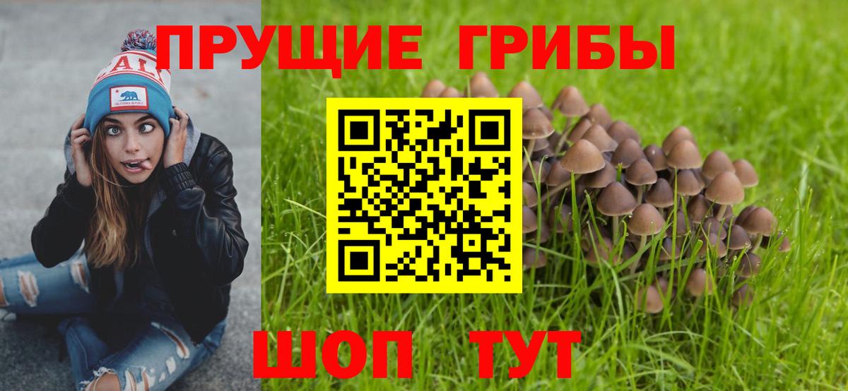 Псилоцибиновые грибы GOLDEN TEACHER  Вход с VPN  Тайшет 